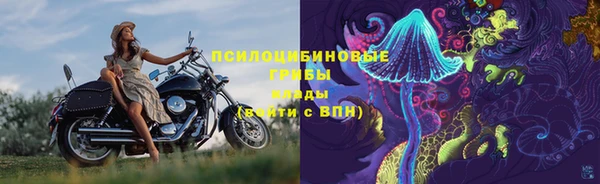 не бодяженный Алексин